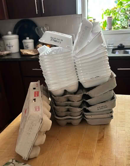 Photo of free Egg cartons (Oak Ridge) #1