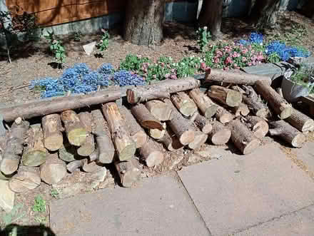 Photo of free Logs (Highfield BL4) #1