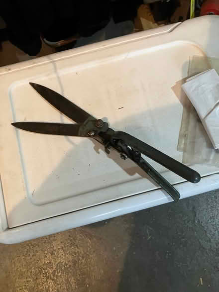 Photo of free Yard Shears (Wingdale) #1