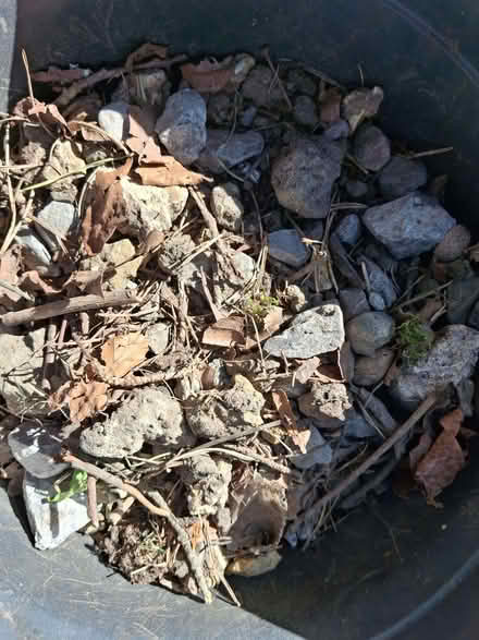 Photo of free Half a bag of large stones (Lightwater GU18) #2