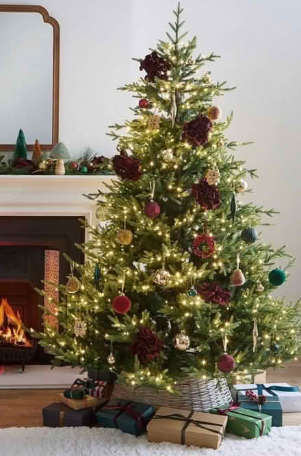 Photo of 7ft or higher Christmas tree (Wolverhampton WV4) #1