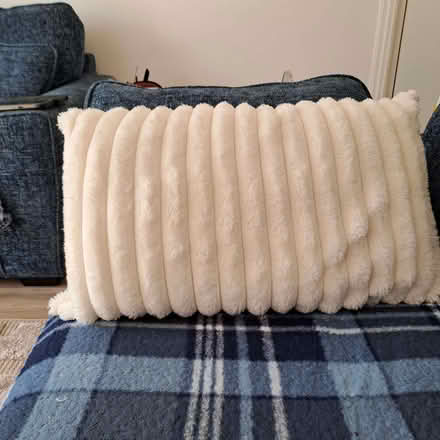 Photo of free 2 Faux Fur White Cushion Covers (Old Town TN40) #1