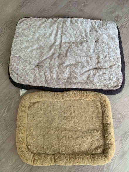 Photo of free Pet beds (Pirbright GU24) #1