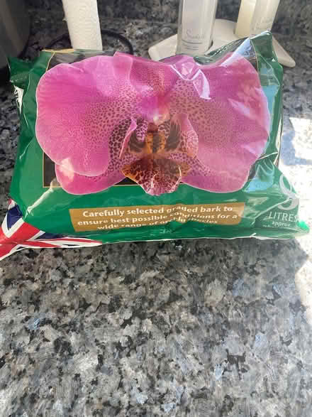 Photo of free Orchid potting mix (Lee, SE12) #3