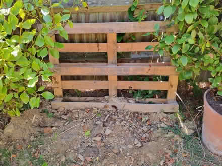 Photo of free Good wooden pallets (Bexhill on Sea TN40) #3