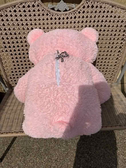 Photo of free Large pink teddy bear (Minchinhampton GL6) #3