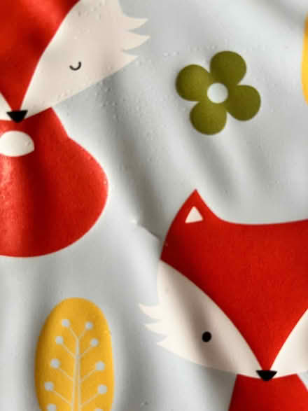 Photo of free Fox baby changing mat (Ensleigh BA1) #2