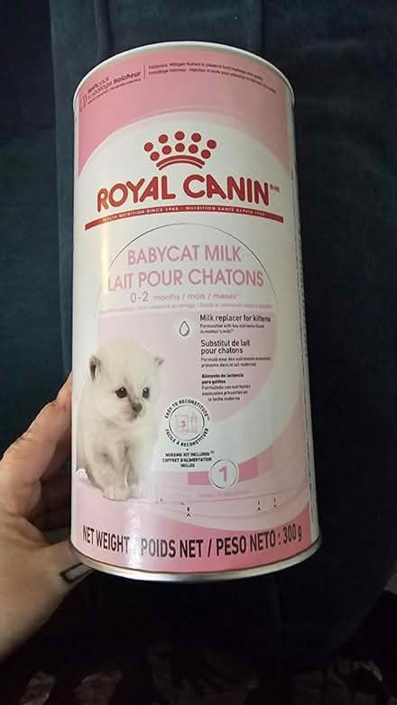 Photo of free Royal Canin BabyCat Milk (Canford Heath BH17) #1
