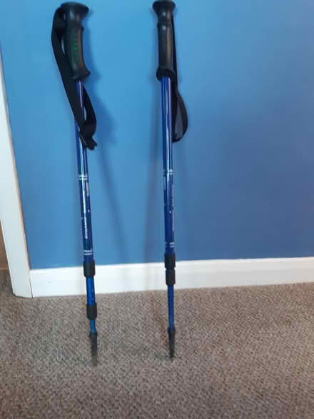 Photo of free Walking poles (ME8) #1
