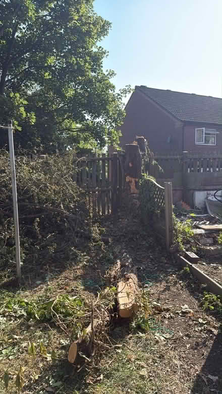 Photo of free wood (Sheffield Lane Top S5) #2