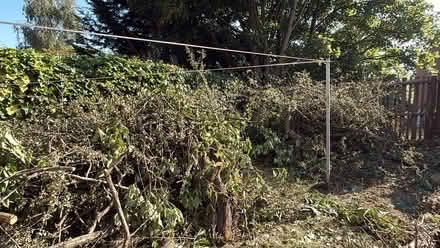Photo of free wood (Sheffield Lane Top S5) #3