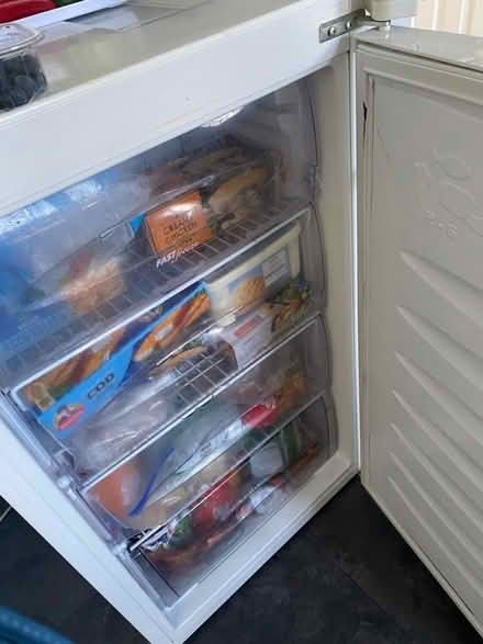 Photo of free Fridge freezer (California IP4) #4