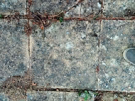 Photo of Garden slabs similar to picture (Polegate BN26) #1