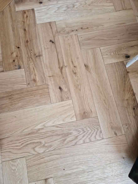 Photo of free Engineered Oak flooring (Stamford Hill N16) #1