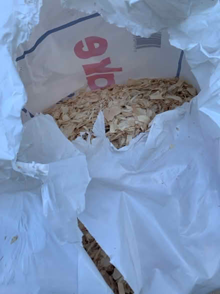 Photo of free Wood Shavings for horses/ small pets (Pirbright GU24) #2