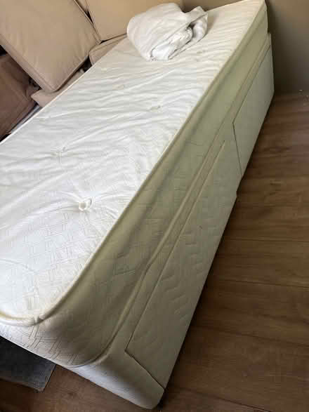 Photo of free Single bed (Cooden TN39) #4
