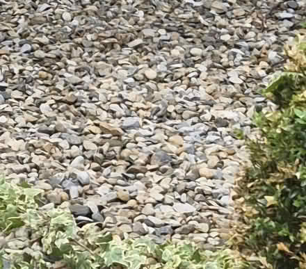 Photo of free Garden pebbles (Wakefield WF2) #1