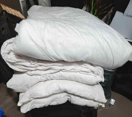Photo of free 3 old single duvets and 2 pillows (Torquay TQ1) #1