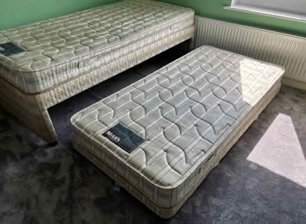 Photo of free Single bed with trundle (Northampton, Kingsthorpe NN2) #3