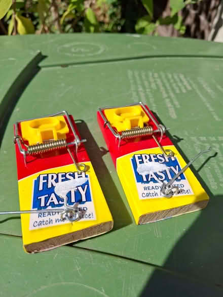 Photo of free 2 mouse traps (Lightwater GU18) #1