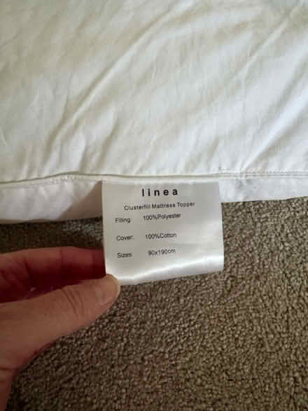 Photo of free Single mattress topper (KT8 East Molesey) #3