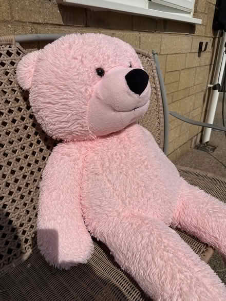 Photo of free Large pink teddy bear (Minchinhampton GL6) #2