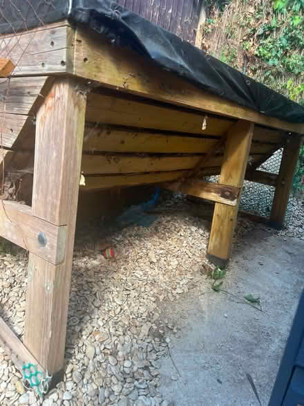 Photo of free Vegetable trig/planter (Cold Harbour OX1) #2