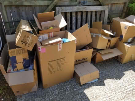 Photo of free Cardboard boxes (Bexhill on Sea TN40) #2