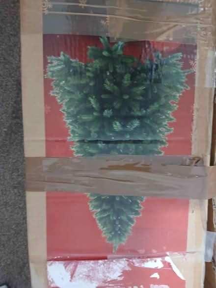 Photo of free Christmas tree (Norton) #2