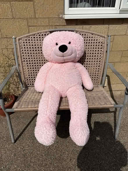 Photo of free Large pink teddy bear (Minchinhampton GL6) #1