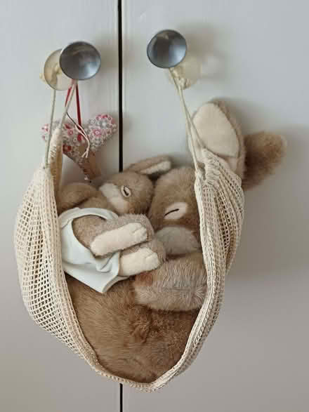 Photo of free Furry mum & baby bunny in hammockk (Steyning BN44) #1