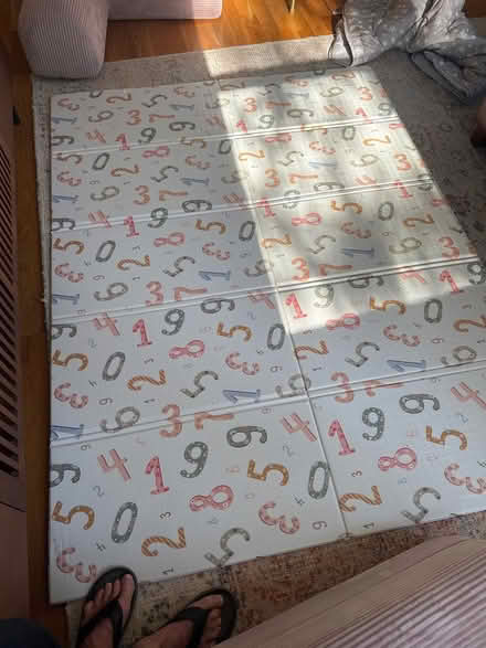 Photo of Baby play mat (Near Carmel HS in Mundelein) #1