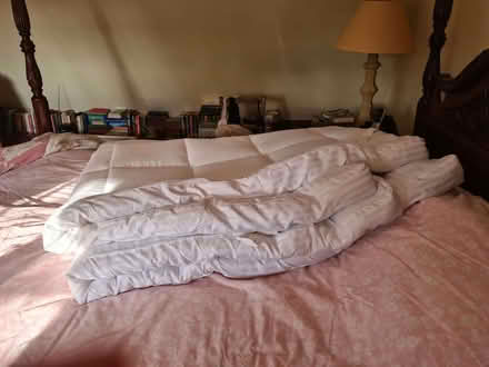 Photo of free Mattress topper (Stradishall CB8) #1