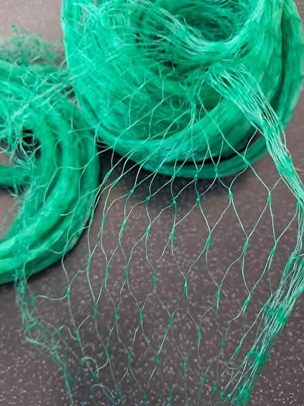 Photo of free Garden netting (Belper DE56) #1