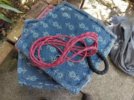 Photo of free Long dog lead and large dog bowl (Hengrove Way BS14) #2