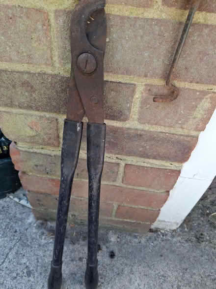 Photo of free lopper/pruner (Lightwater GU18) #1