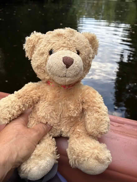 Photo of Teddy bear clothes (Woodley RG6) #1