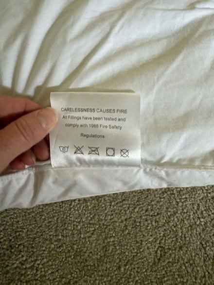 Photo of free Single mattress topper (KT8 East Molesey) #1