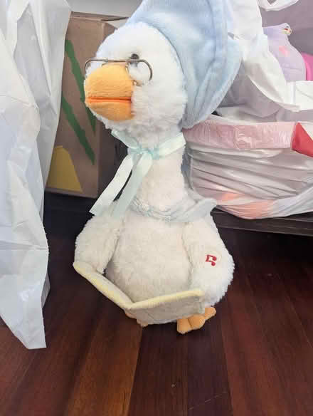 Photo of free Mother goose (63rd& main, DG) #1