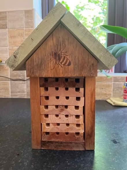 Photo of free Bee house (Sunninghill SL5) #1