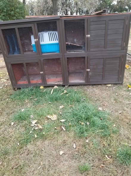 Photo of free Rabbit Hutch Large (Dodford B61) #1