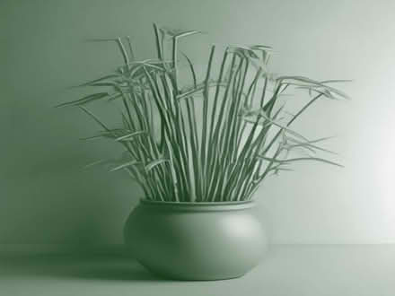 Photo of Bamboo/ garden canes (S2 Manor Park) #1