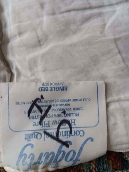 Photo of free Single quilt (Wootton Fitzpaine DT6) #3