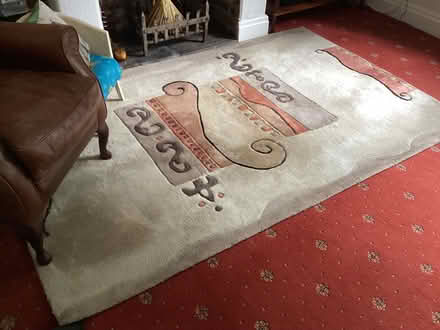 Photo of free Rug (Milton Green CH3) #1