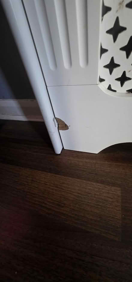 Photo of free Radiator cover (RM9 Dagenham) #2