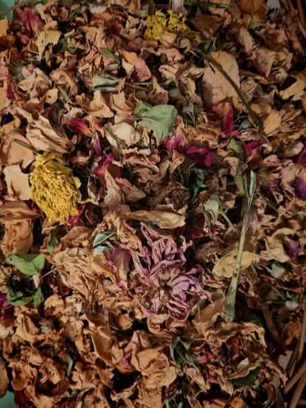 Photo of free Dried roses (without basket!) (Thornton Heath CR7) #1