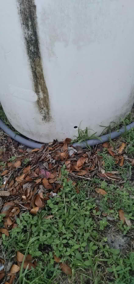 Photo of free 55 gallon barrel (Clearwater 33756) #1