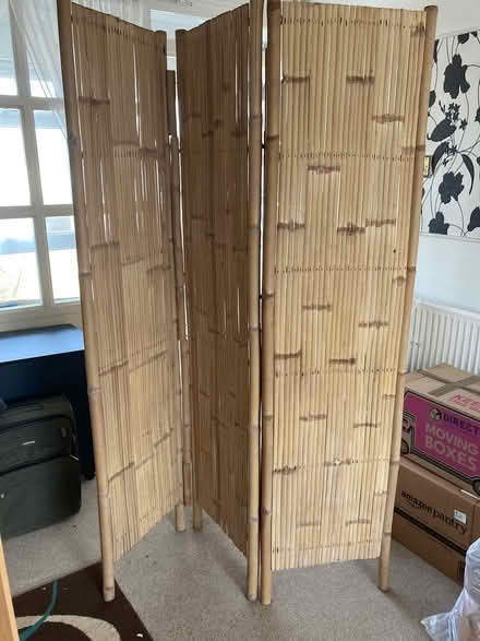 Photo of free Folding screen (Willingdon BN22) #1
