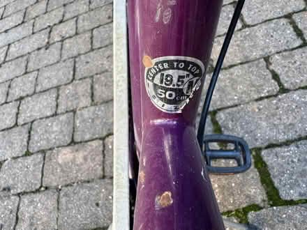 Photo of free Bicycle (Swarthmore) #2