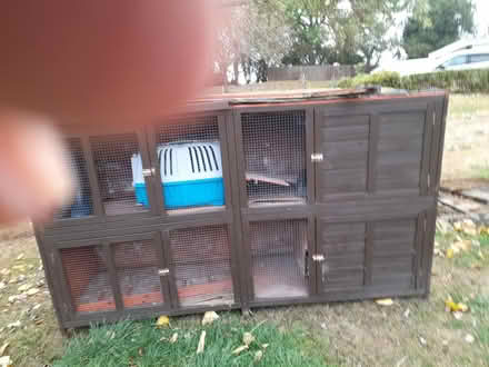 Photo of free Rabbit Hutch Large (Dodford B61) #2